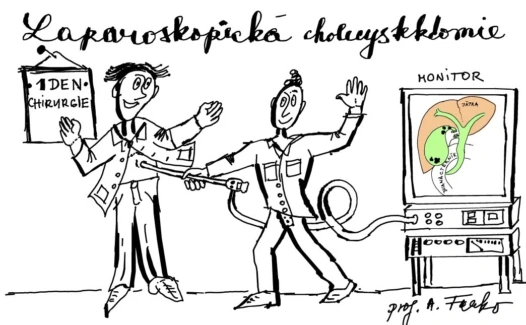 LAPCHCE Chirurgická poradna